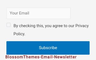 Blossom-theme-email-newsletter-plugin