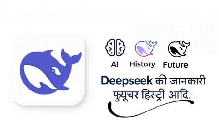 deepseek-ai