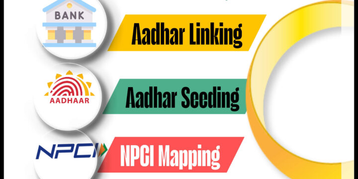 Aadhar-seeding-linking-mapping